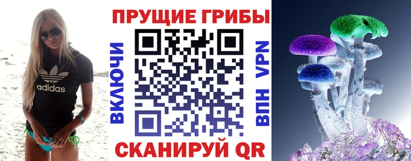 Псилоцибиновые грибы ЛСД  это клад  Таштагол 